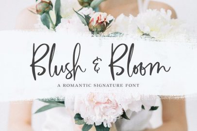 Blush & Bloom Signature Type普贤居精选英文字体