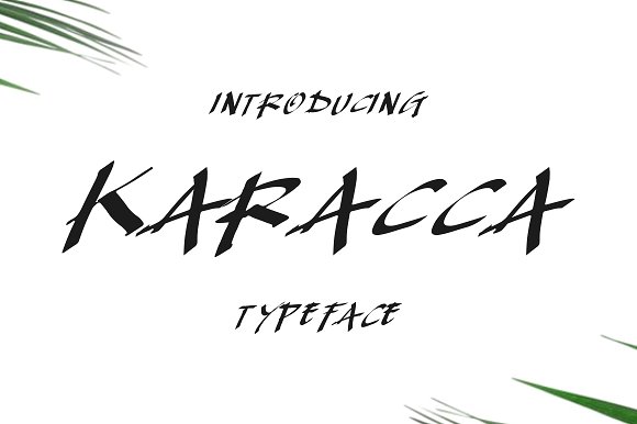 Karacca Typeface素材中国精选英文字体