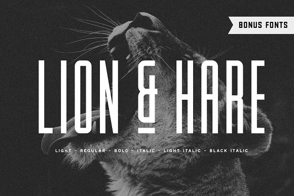 Lion & Hare Font + Bonus Fonts!16设计网精选英文字体