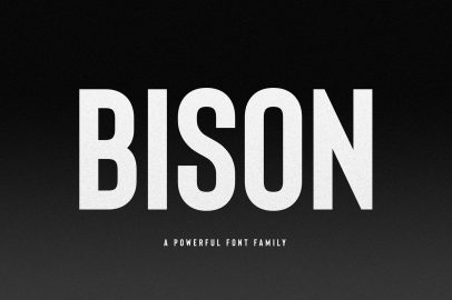 Bison Font Family16图库网精选英文字体