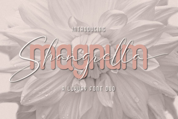 Magnum Shangrella Duo Font16设计网精选英文字体