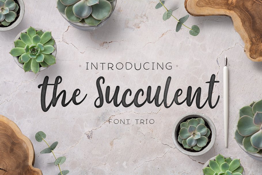 The succulent – font trio素材中国精选英文字体
