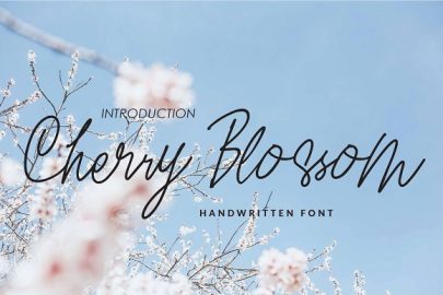 Cherry Blossom16设计网精选英文字体