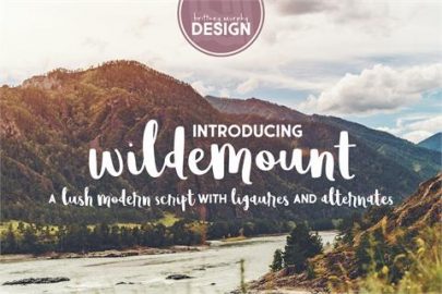 Wildemount font素材中国精选英文
