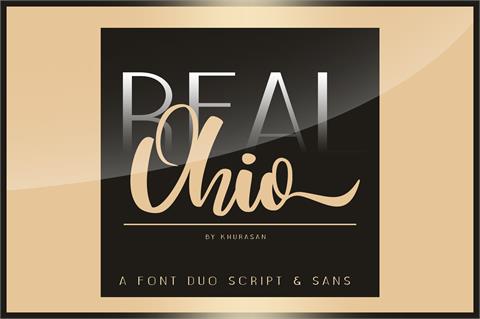 Real Ohio font16设计网精选英文字体
