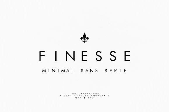 Finesse – Minimal MONO Font素材中国精选英文字体