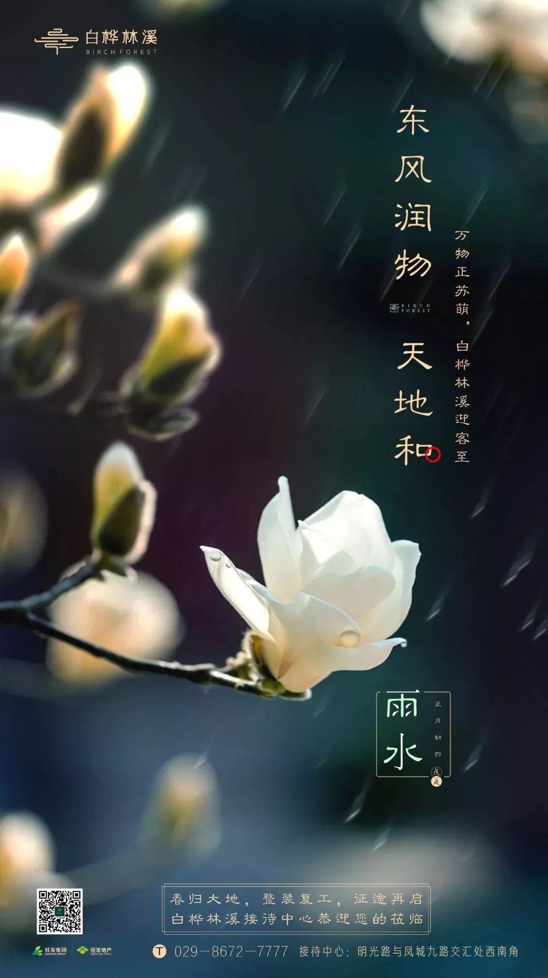 雨水节气海报设计作品集