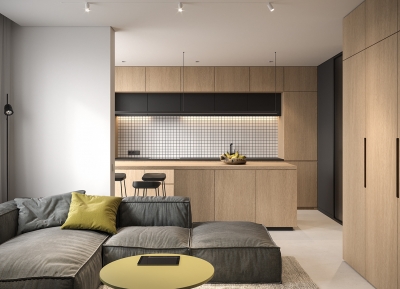 40平米精致小公寓设计素材中国网精选