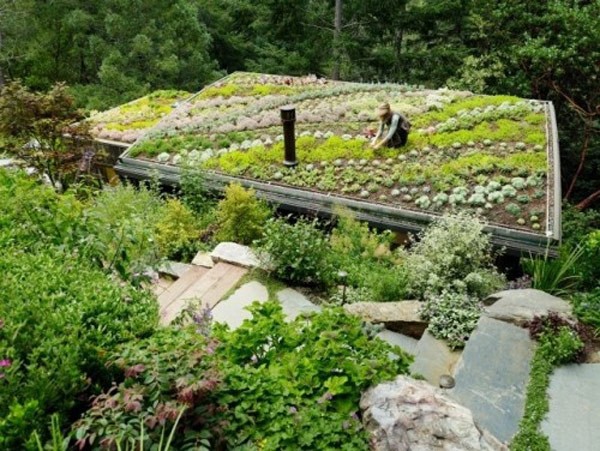 30个漂亮的屋顶花园设计