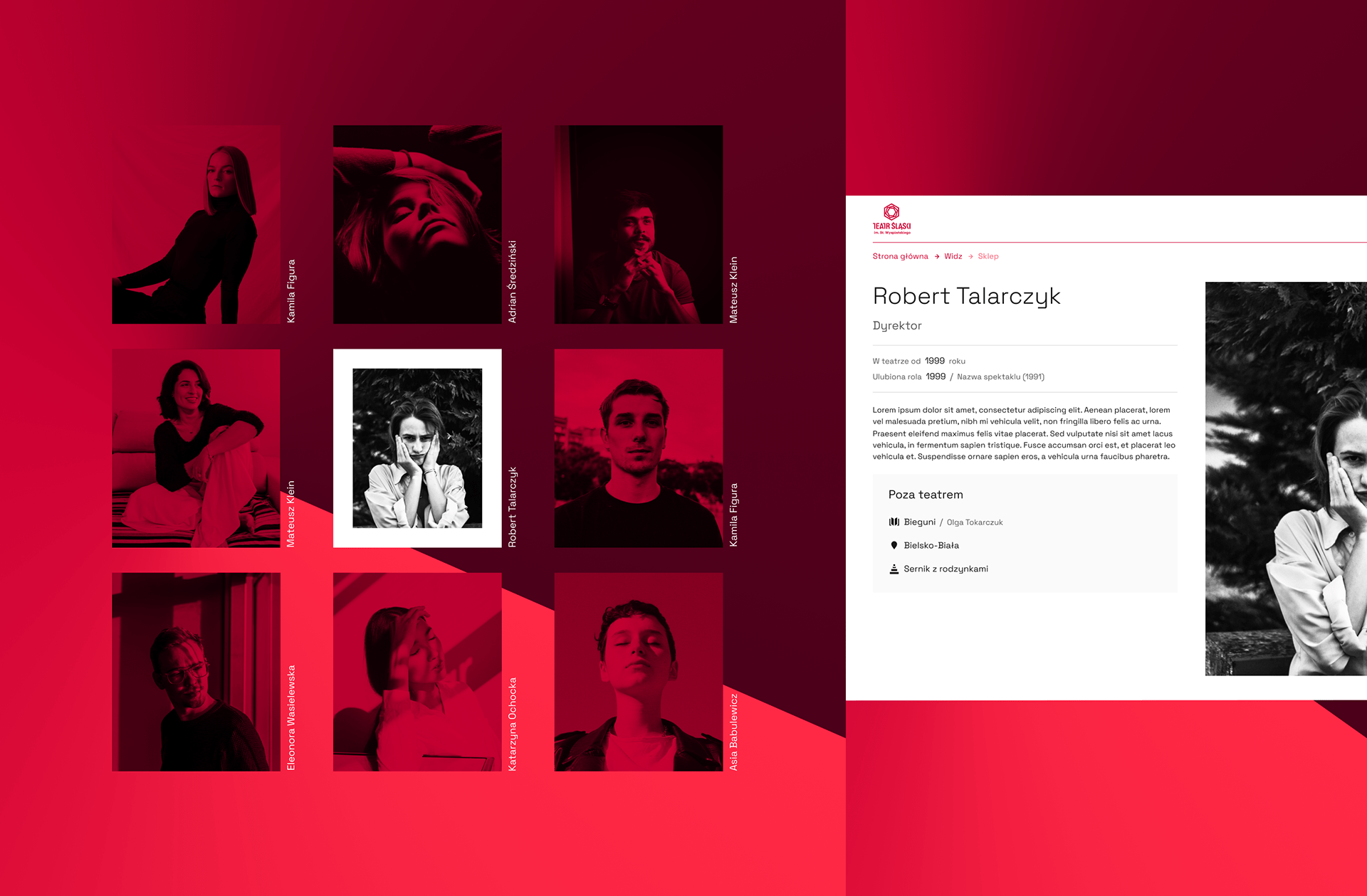 西里西亚剧院(Teatr Śląski)网站设计