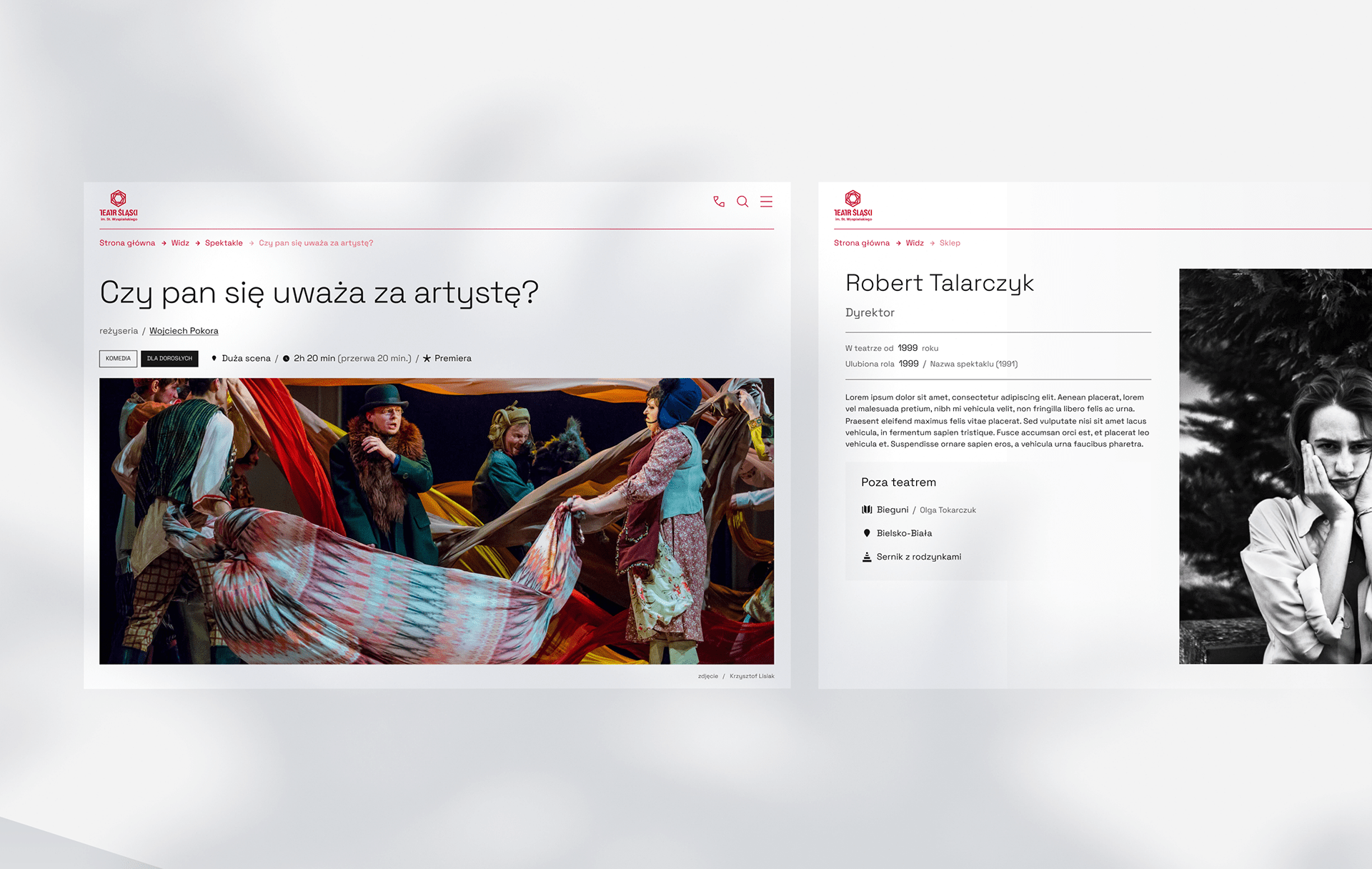 西里西亚剧院(Teatr Śląski)网站设计