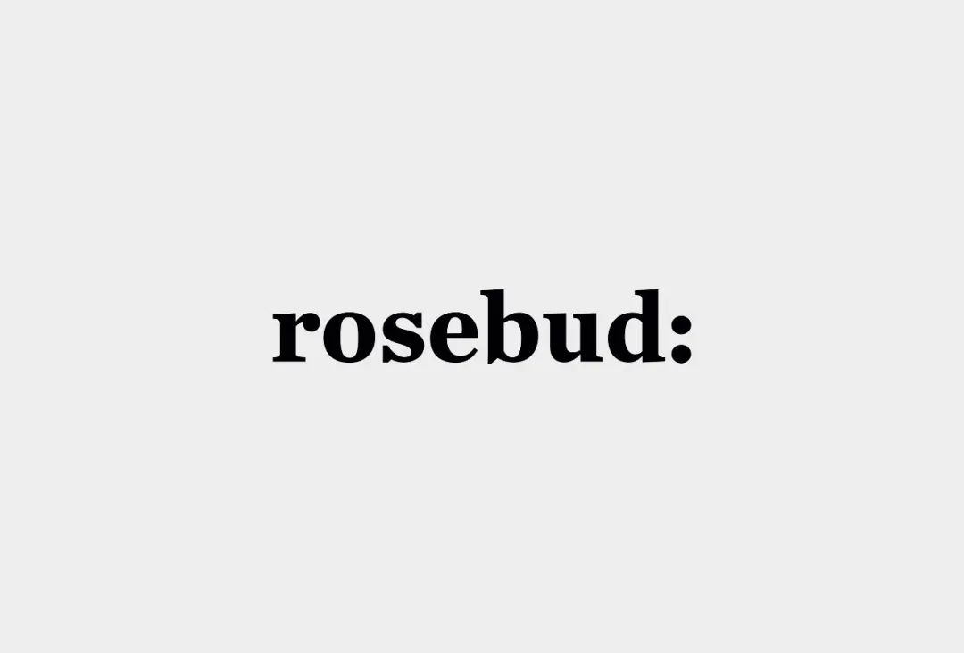 2个点的含义！公共关系机构Rosebud品牌形象