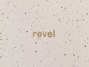 精致而低调的美学效果：多元化活动公司Revel品牌形象设计16设计网精选