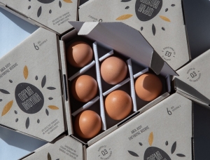 美丽三角！Paarma Pafylida鸡蛋盒包装设计普贤居素材网精选