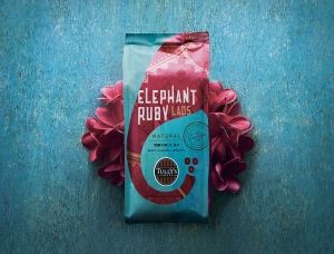 南亚风情的大象插画 日本tully’s coffee咖啡包装素材中国网精选