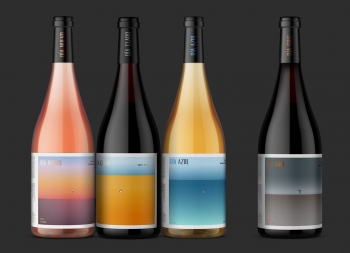 DÍA WINES葡萄酒包装设计素材中国网精选