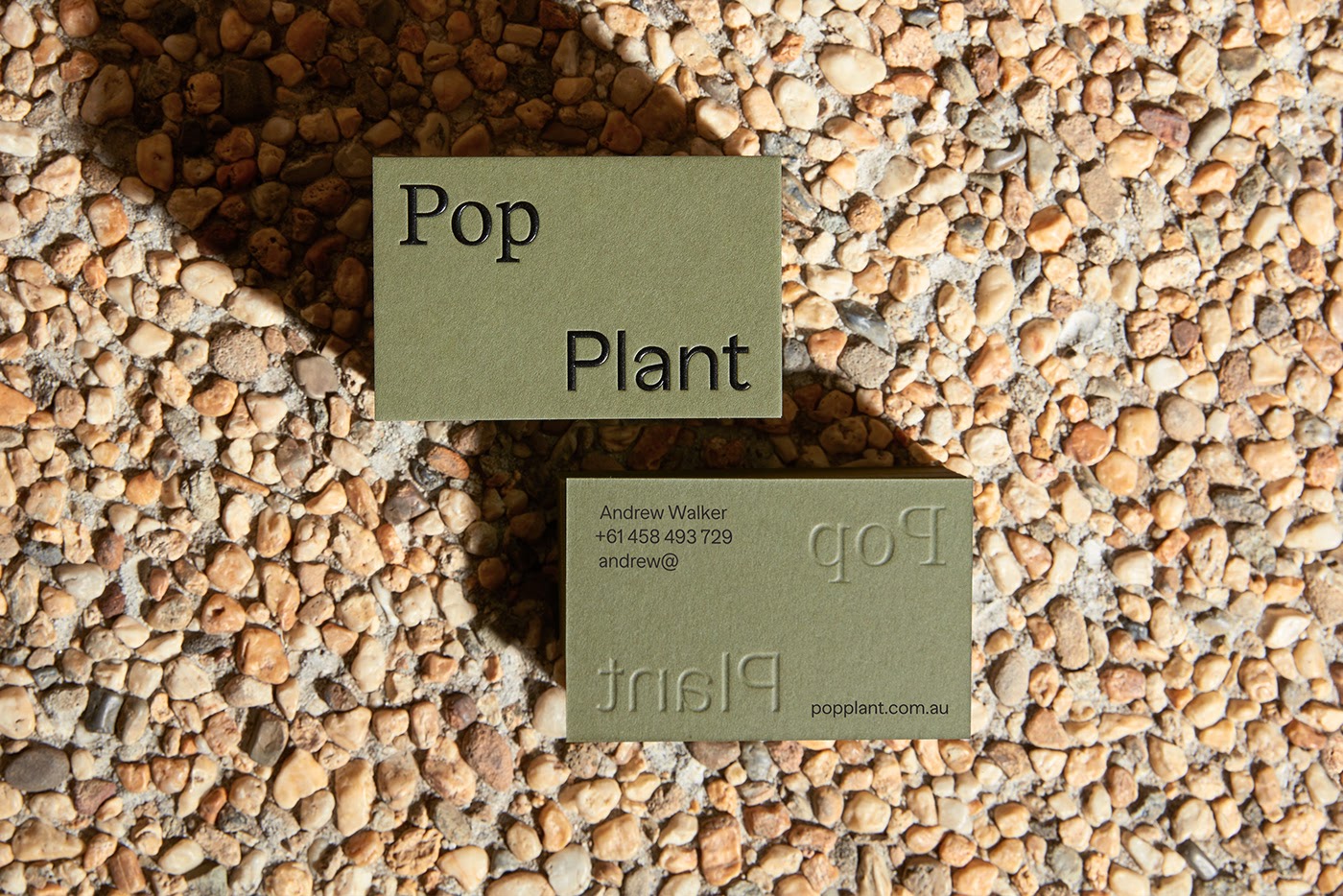 Pop Plant园林绿化公司品牌视觉设计
