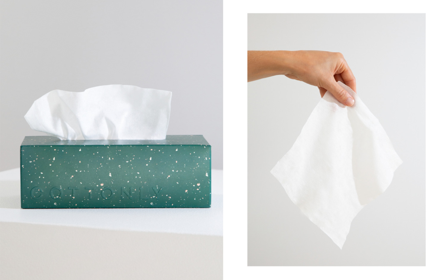 Cottonly纸巾盒品牌和包装设计