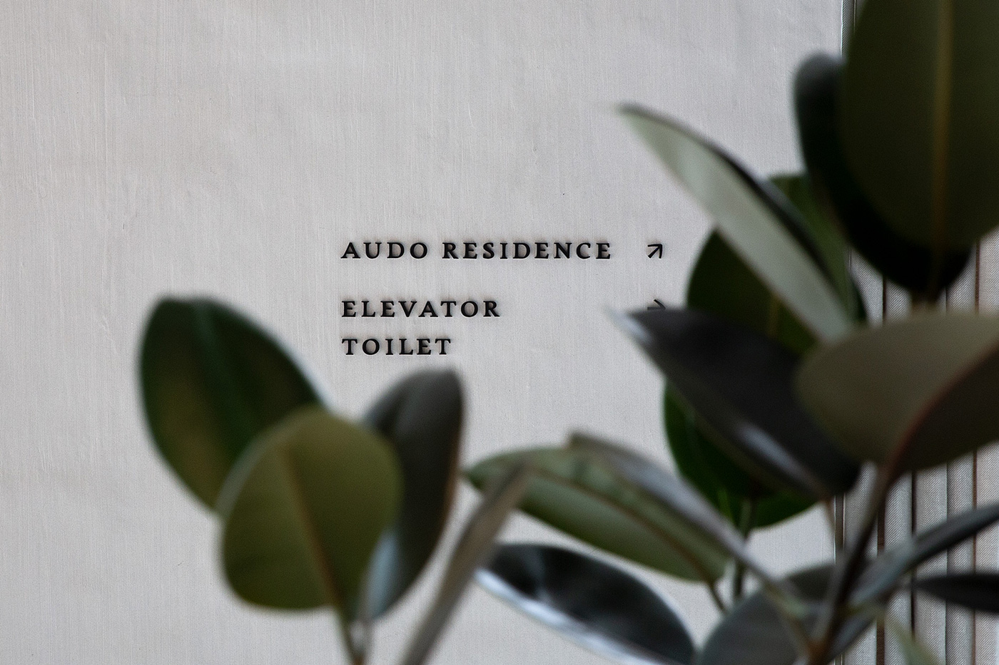 丹麦Audo混合展示空间品牌形象设计