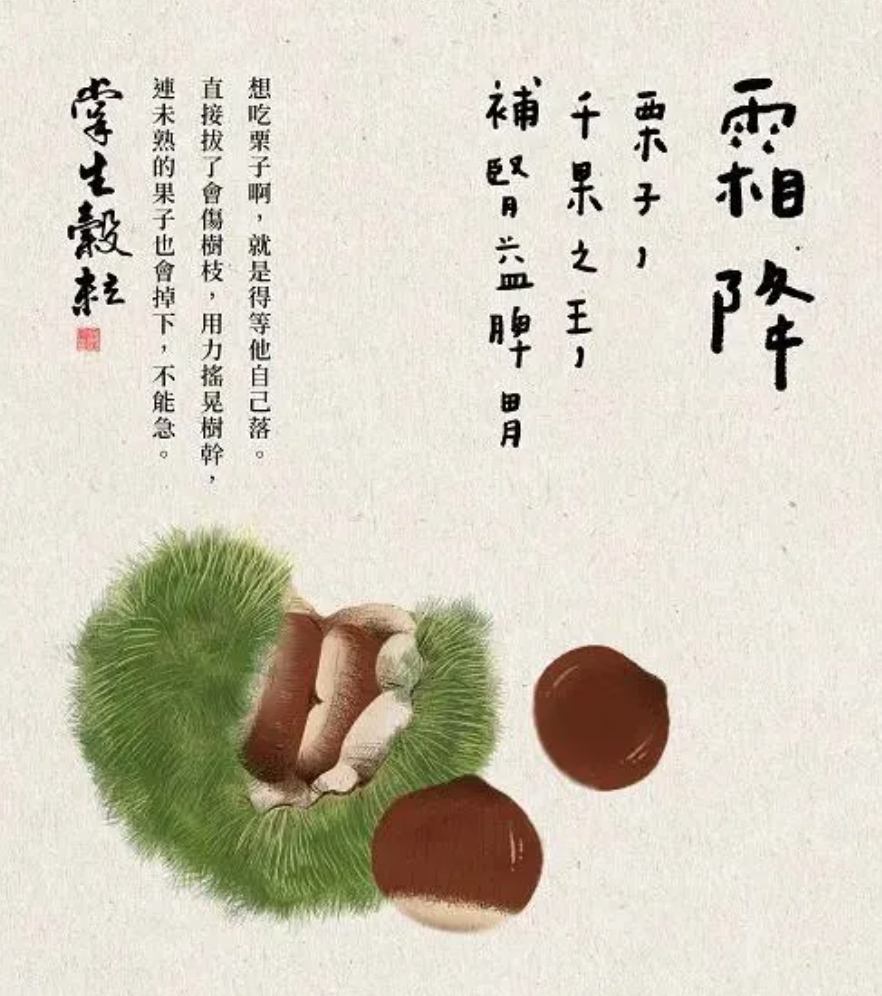 台湾掌生谷粒：24节气海报设计