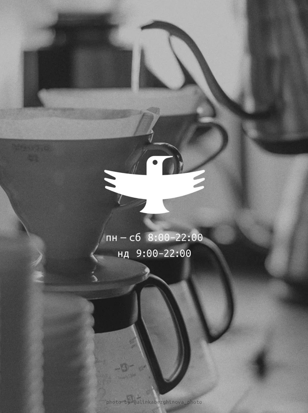 自由飞翔鸟 JAYS:COFFEE BREWERS咖啡店品牌视觉设计