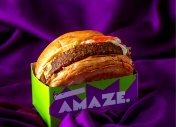 AMAZE汉堡品牌包装设计素材中国网精选