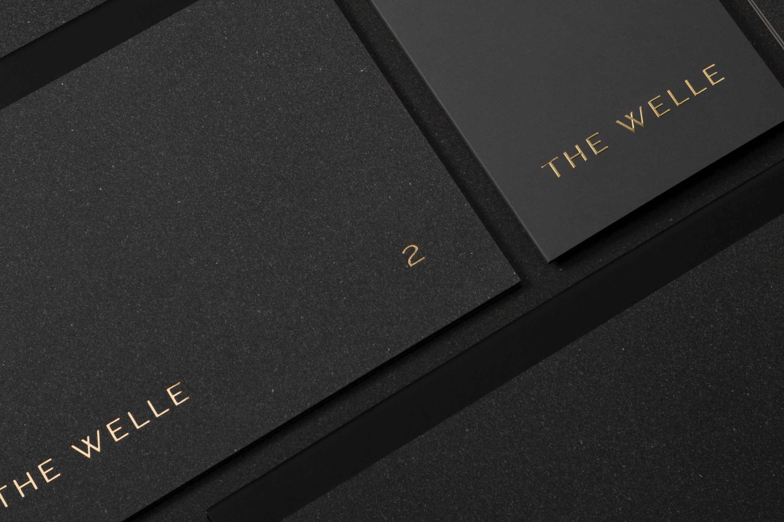 The Welle地产项目画册设计