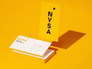 纽约航天联盟NSYA品牌视觉设计素材中国网精选