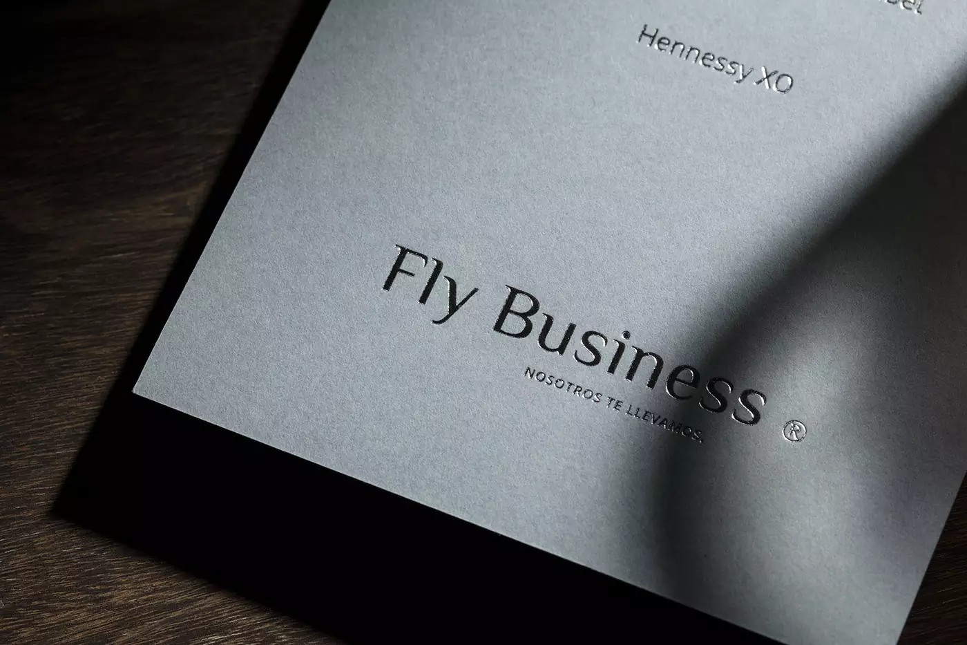 私人航空运营服务商Fly Business品牌形象设计