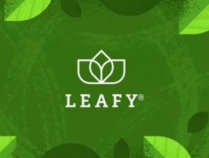 南非Leafy茶叶包装设计素材中国网精选