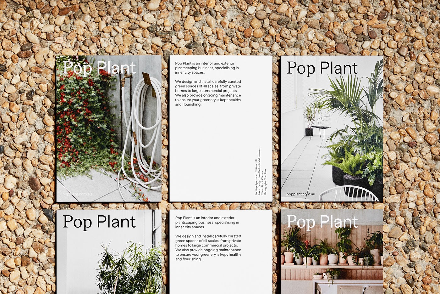 Pop Plant园林绿化公司品牌视觉设计