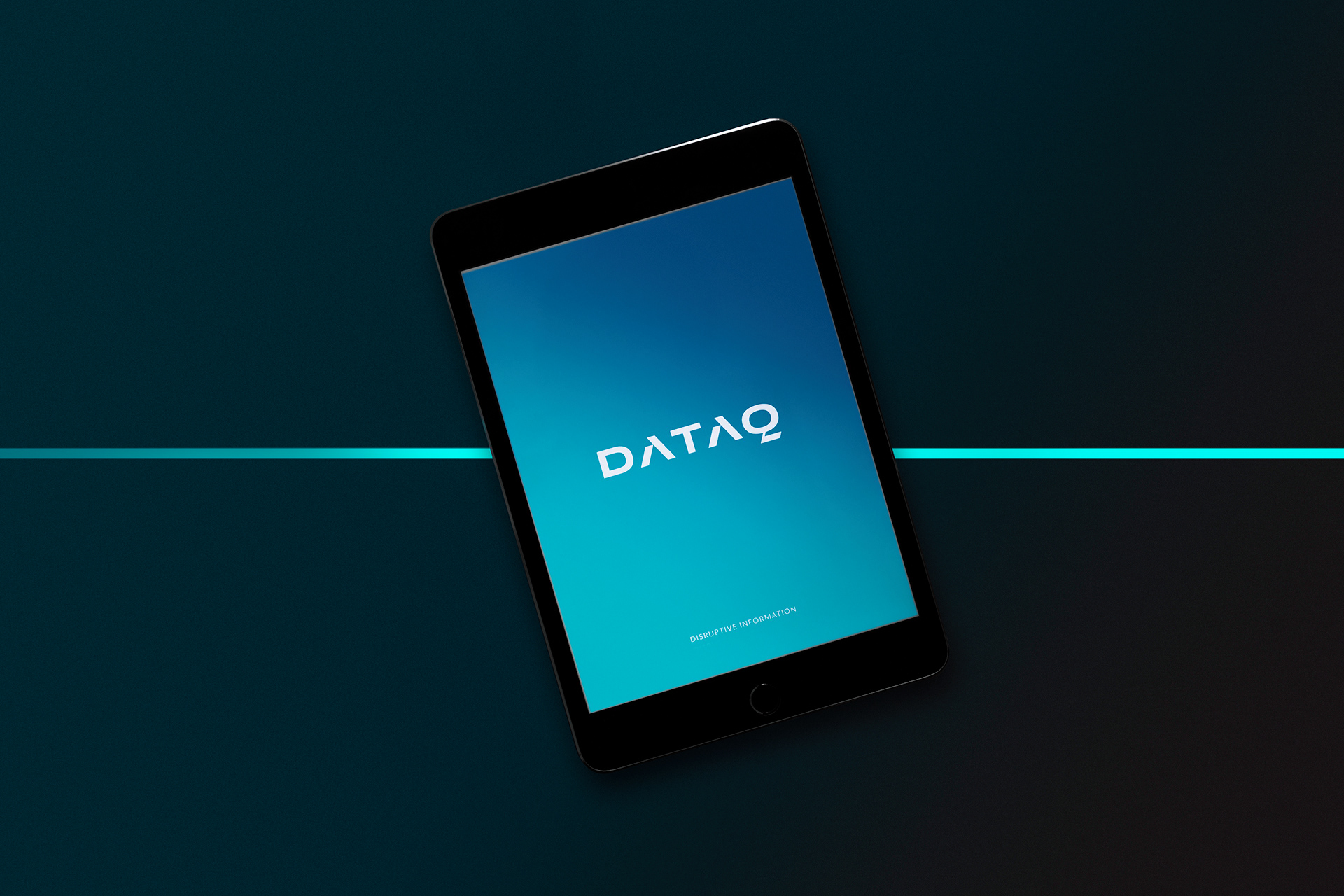 数据分析平台DATAQ品牌形象设计
