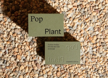 Pop Plant园林绿化公司品牌视觉设计普贤居素材网精选