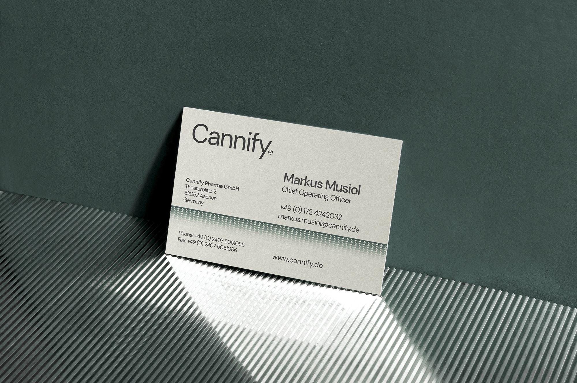 Cannify制药品牌形象设计