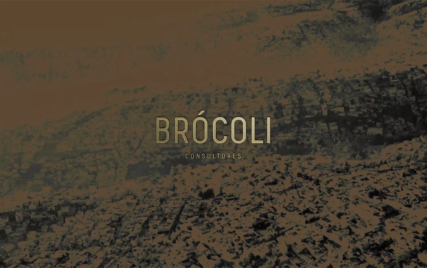 Brocoli咨询公司品牌视觉设计
