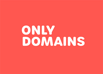 域名服务商OnlyDomains品牌VI设计16设计网精选