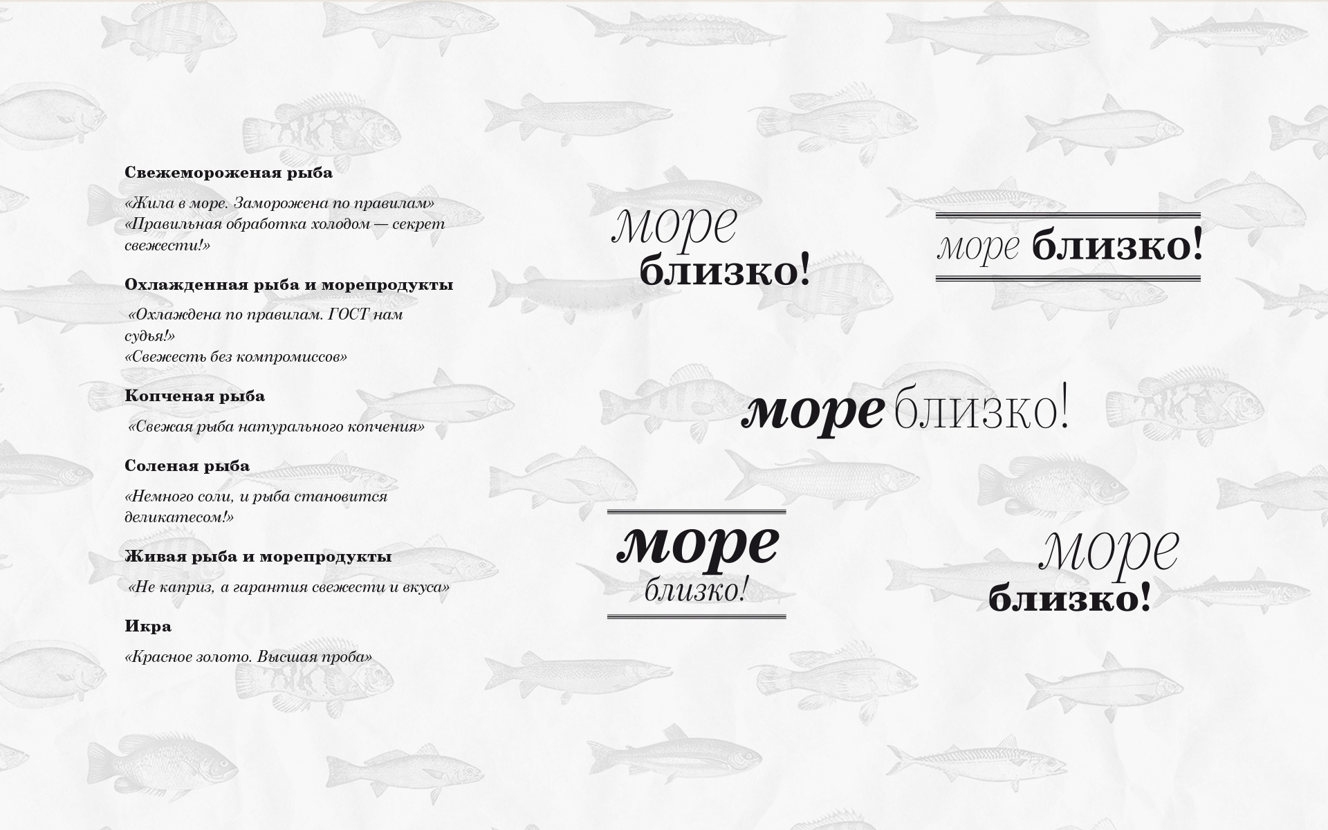俄罗斯Mope & More海产店品牌形象设计16设计网精选