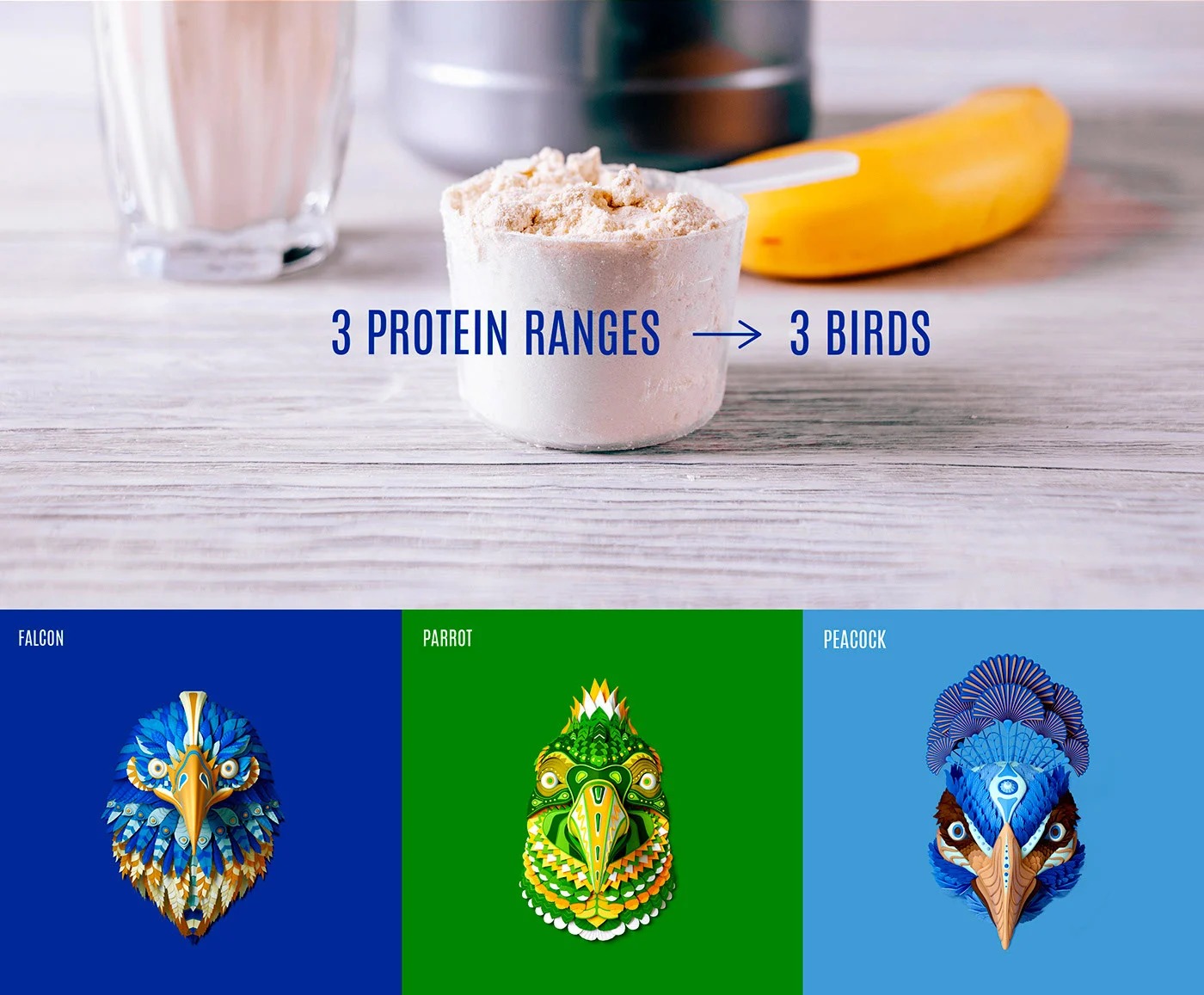Birdman植物蛋白食物包装设计