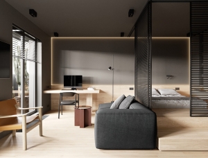小空间的有效利用：圣彼得堡38平米单身小公寓16设计网精选