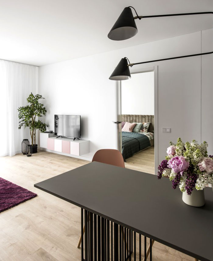 立陶宛极简风格的小公寓设计