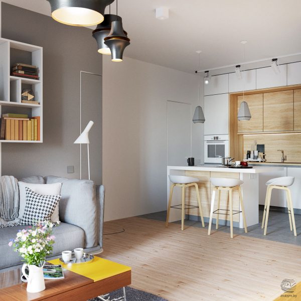 明斯克紧凑实用的小公寓装修效果图设计