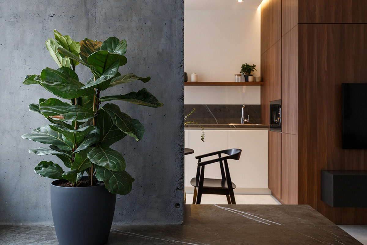 木质和混凝土融合 工业风的时尚小公寓