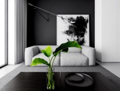 4个极简主义黑白公寓空间设计16设计网精选