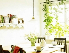 新装修的房子摆放什么植物可以去除异味和有害物质?16设计网精选
