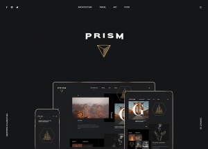 PRISM官方展示网站