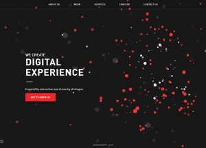 REDIXEL国际层面产品用户体验网站创建移动开发公司网站设计