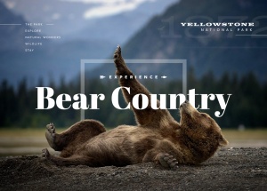 bear country-熊国-动物保护