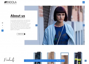 Indola美发设计机构