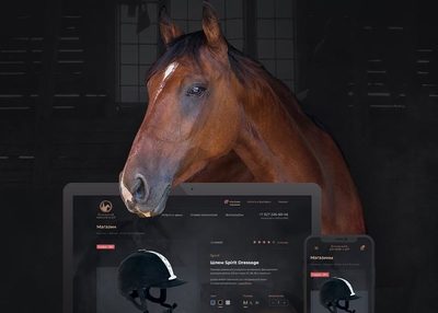 Horse Club-马场俱乐部网站设计