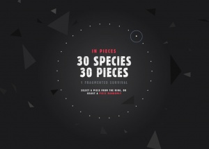 SPECIES IN SPECIES 30个多边形动物动态变换组成网站设计 [10P]
